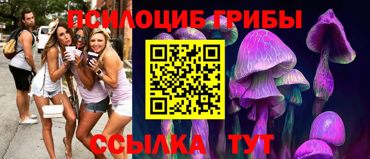 Псилоцибиновые грибы Cubensis Сланцы
