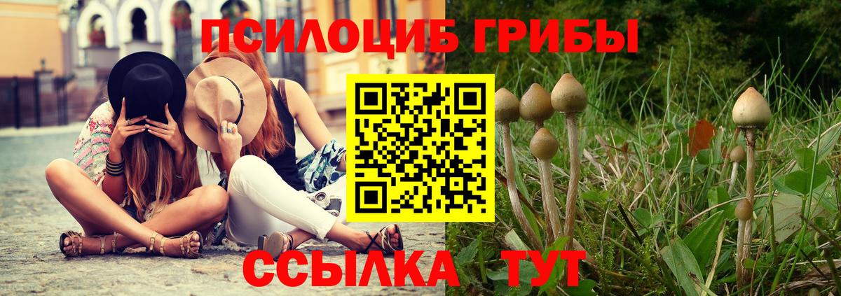 Сланцы  Галлюциногенные грибы мухоморы  Вход с VPN 